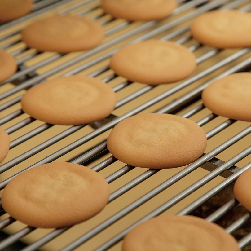 Ｓ*様 faithbyluis beltゴールド　円堂守着用　※訳あり 楽天市場】年内無休で発送中！ 【選んでもらえる特典付き