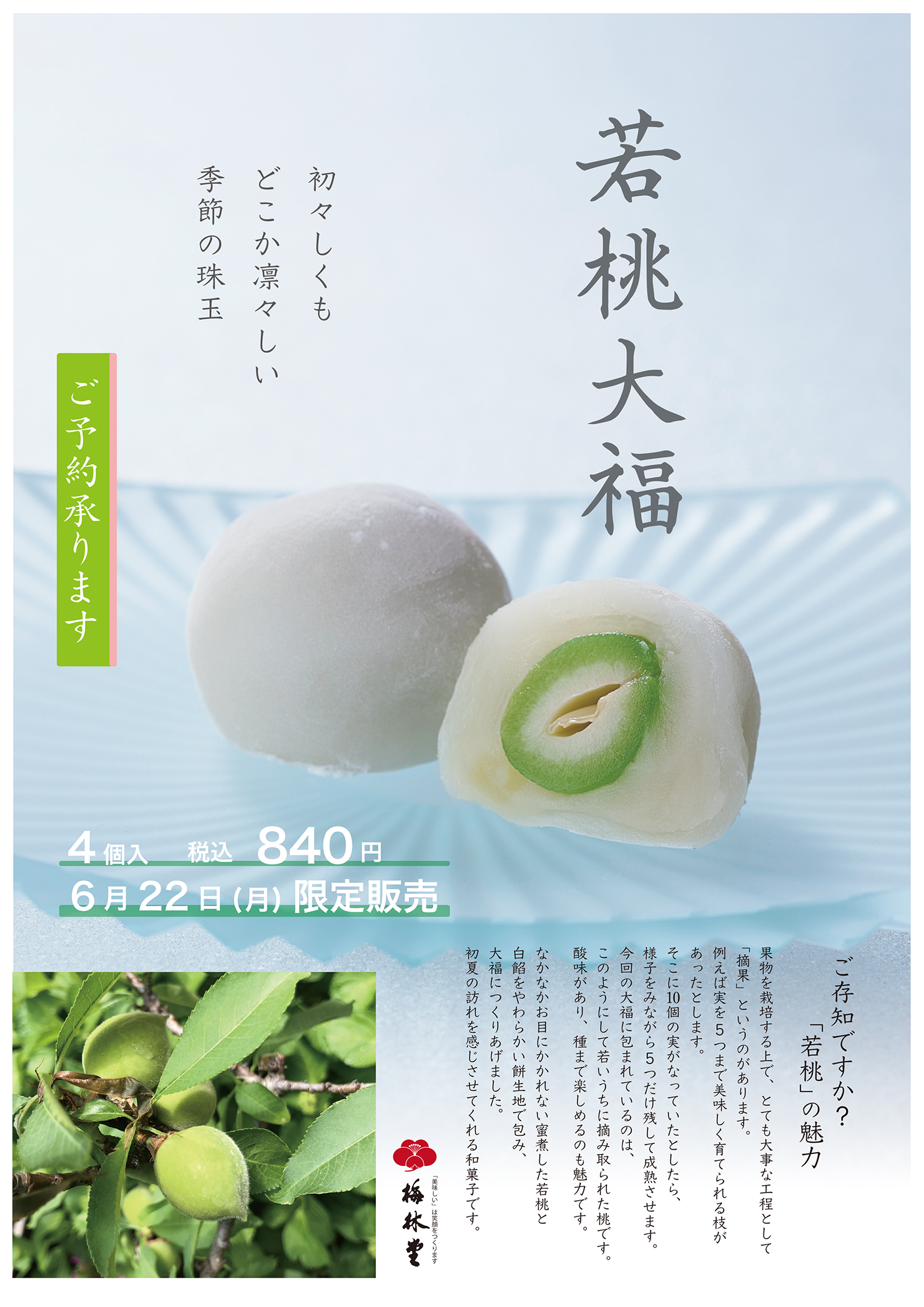 塩豆大福回転チラシ | 【梅林堂】-公式オンラインショップ